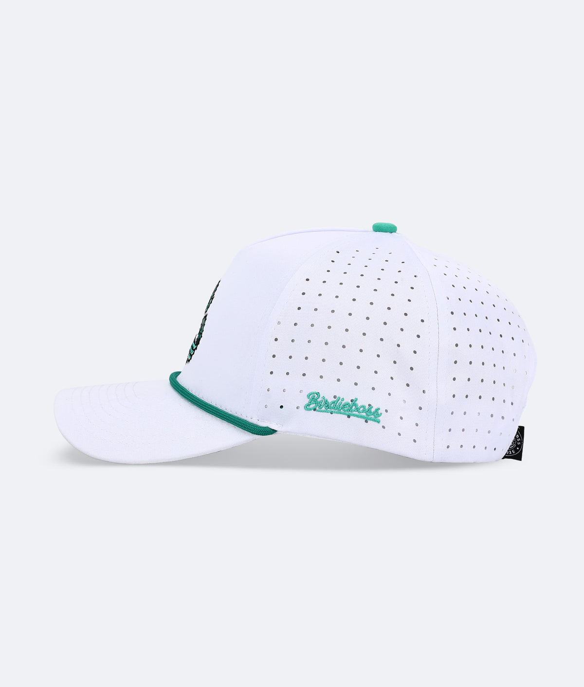 16 on Repeat Hat