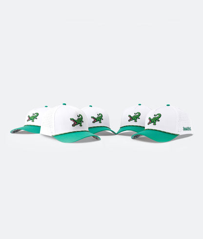 Alligator Hat