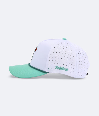 Serpent on 16 Hat White
